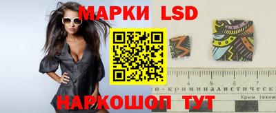 стафф Моздок
