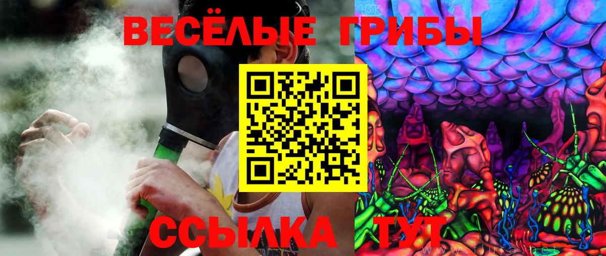 Псилоцибиновые грибы GOLDEN TEACHER Добрянка