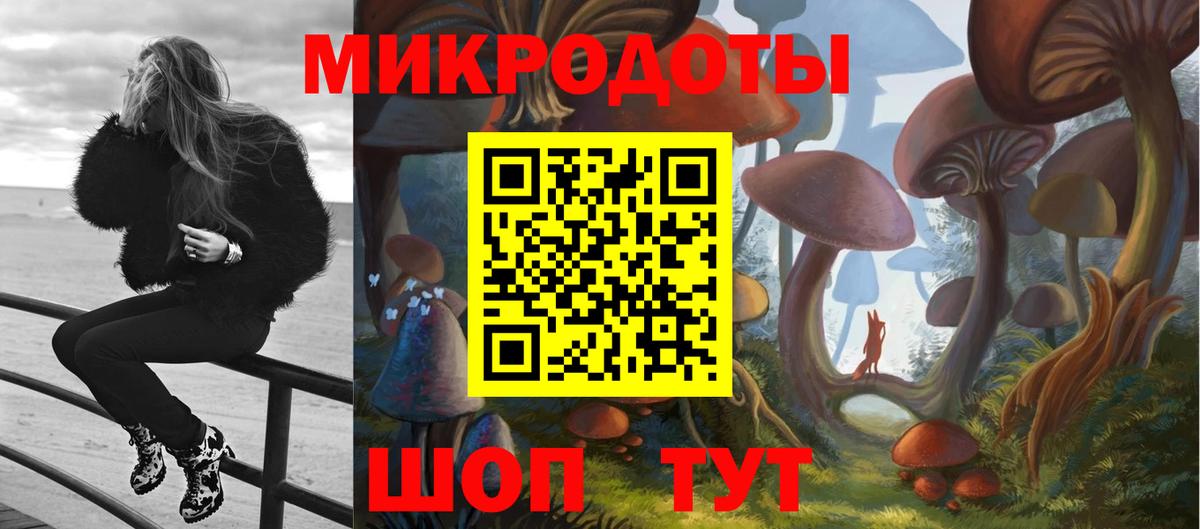 Добрянка  Псилоцибиновые грибы ЛСД  Вход с VPN  Псилоцибиновые грибы GOLDEN TEACHER 